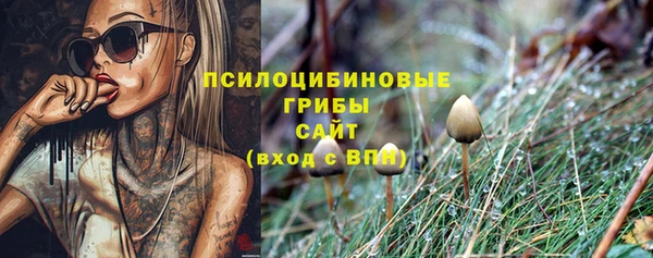 не бодяженный Няндома