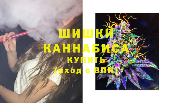 МДПВ Нязепетровск