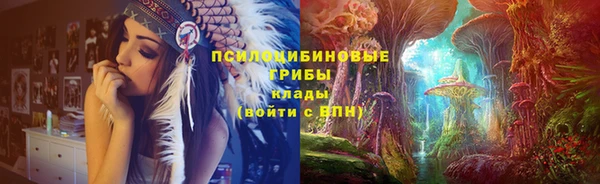 МДПВ Нязепетровск
