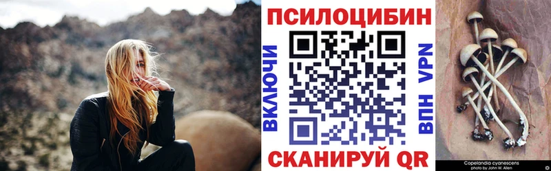Купить закладки  Юрга  Галлюциногенные грибы прущие грибы 